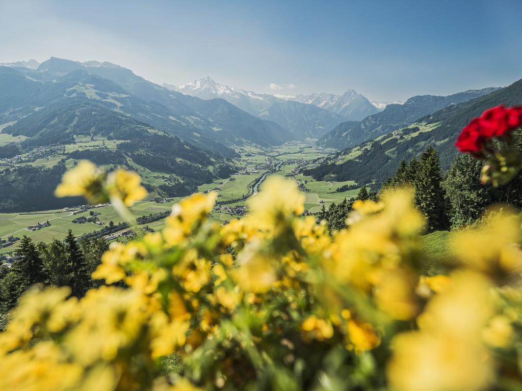 Breierhof Daire Zell am Ziller Oda fotoğraf