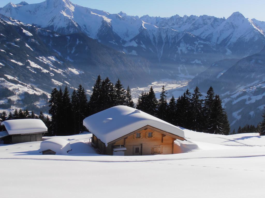 Breierhof Daire Zell am Ziller Dış mekan fotoğraf