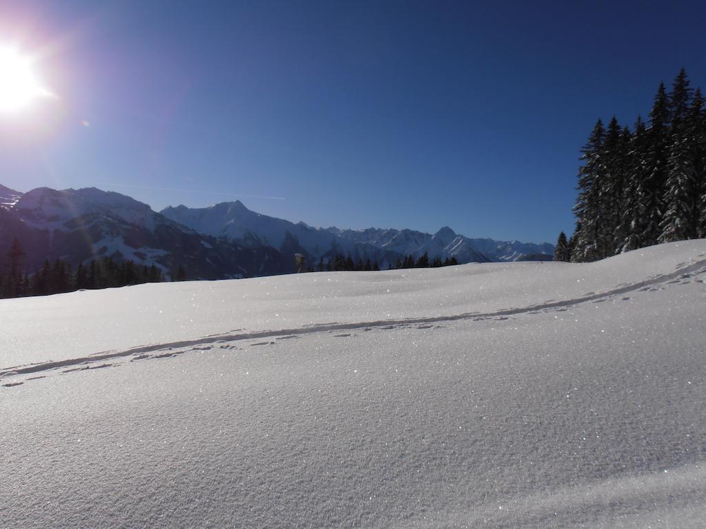 Breierhof Daire Zell am Ziller Dış mekan fotoğraf