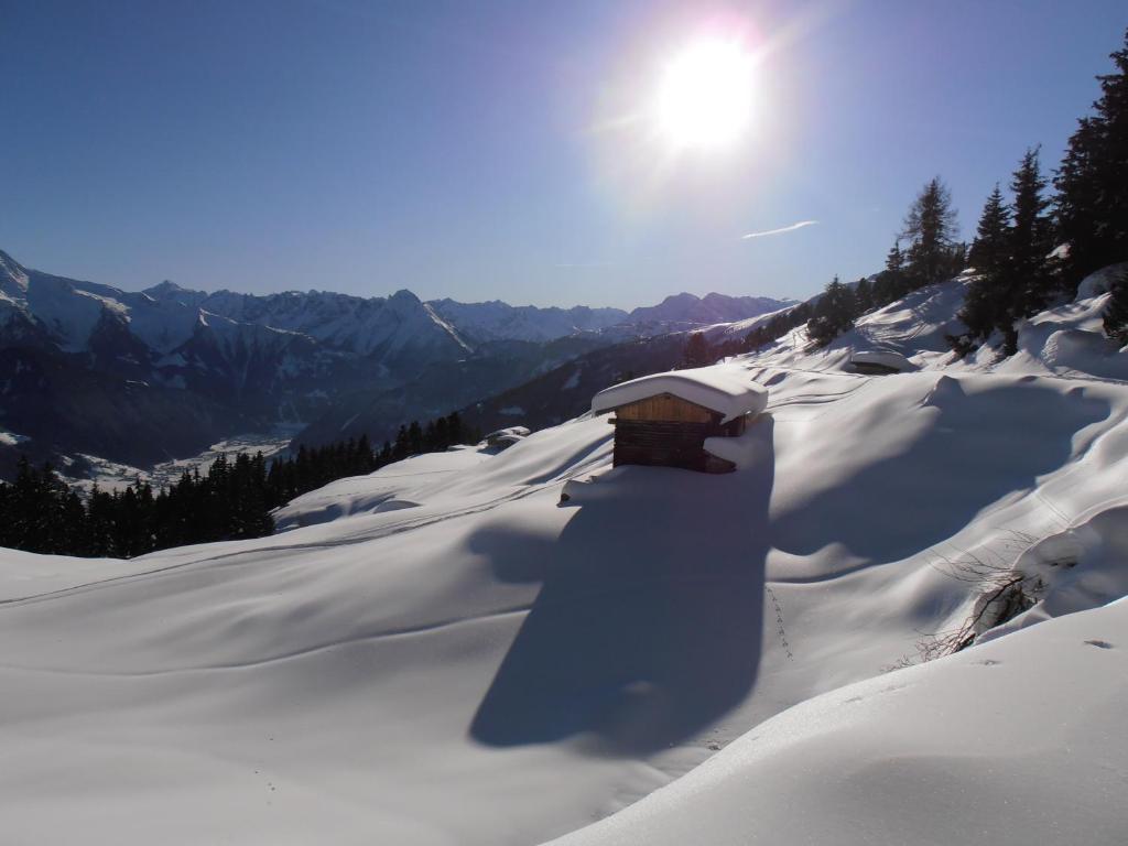 Breierhof Daire Zell am Ziller Dış mekan fotoğraf
